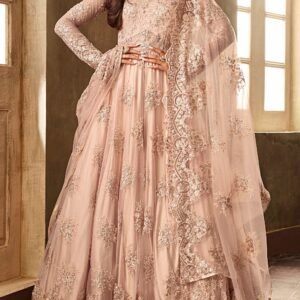 Anarkali Suit (Heavy)